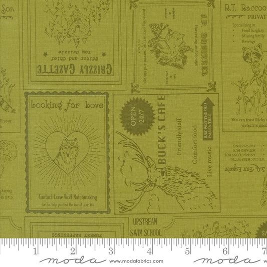 The Great Outdoors by Stacy Iest Hsu: Vintage Forest 20881 14