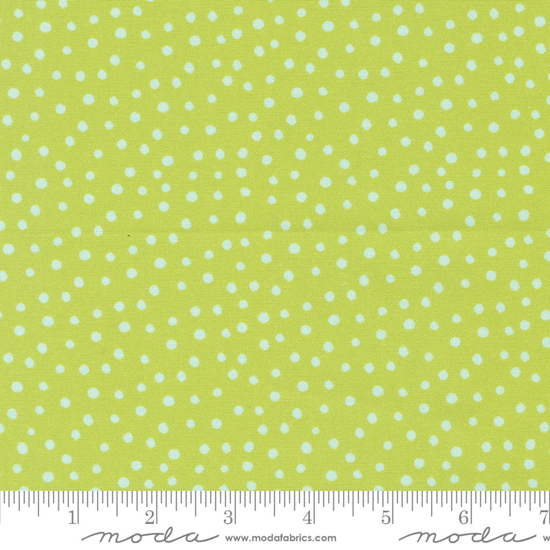 Flower Patches by Amarilys Henderson : Dotty Citrus