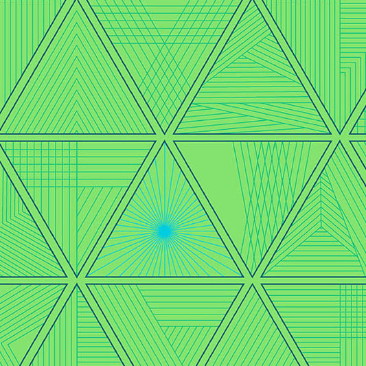 40 by Giucy Giuce : Triangula Goosebumps 1391-G