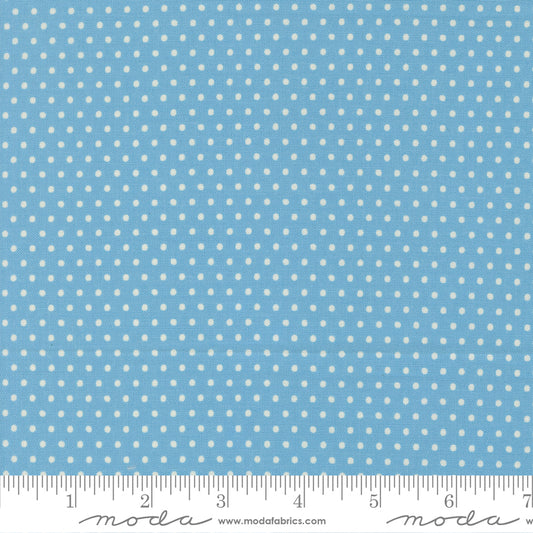 Animal Park Fun by Stacy Iest Hsu : Dotty Dot Bluebird 20967 12