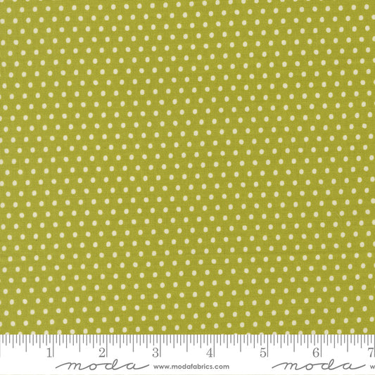 Animal Park Fun by Stacy Iest Hsu : Dotty Dot Iguana 20967 16 (Estimated Arrival January 2026)