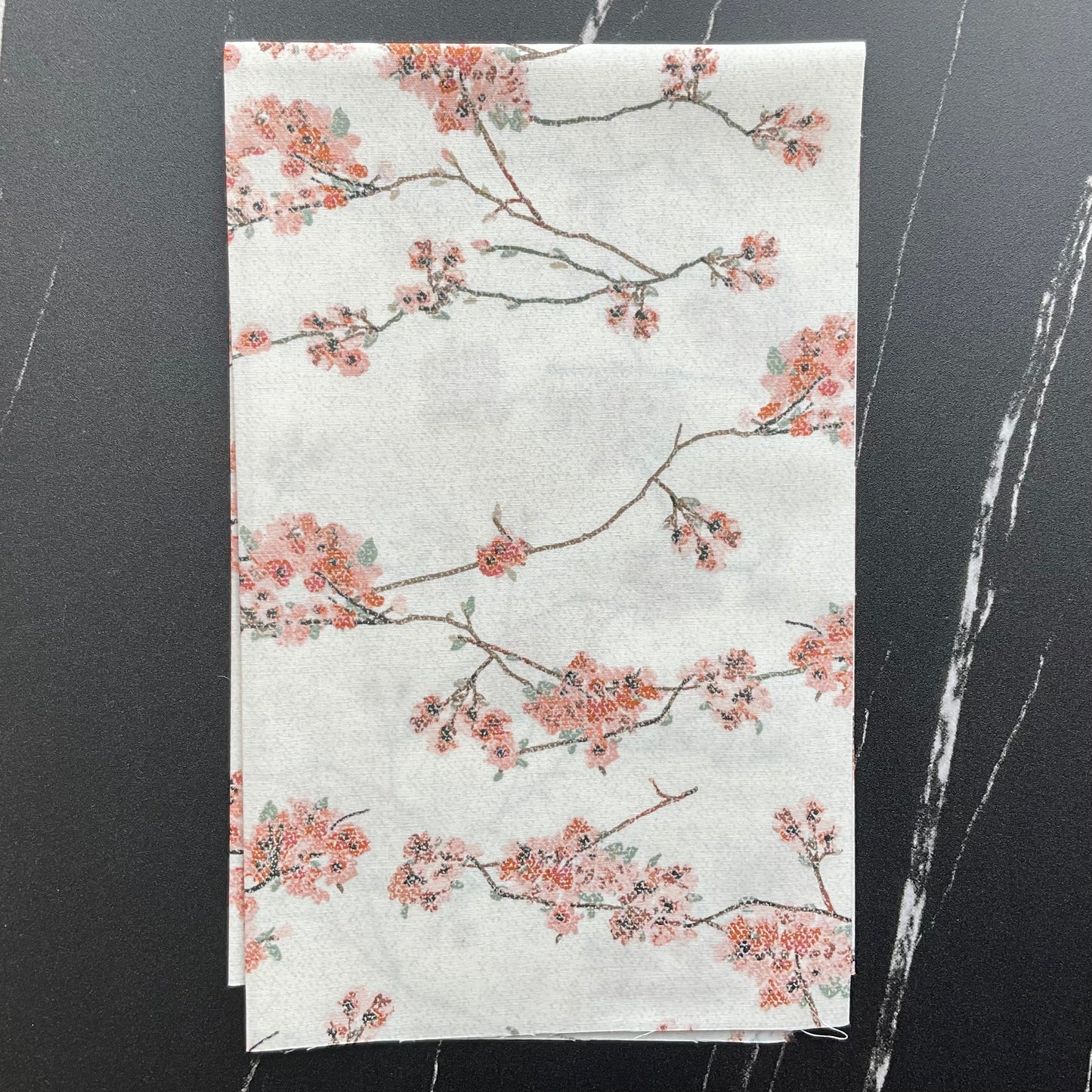 Botanist by Katarina Roccella : Blossoming Daphne