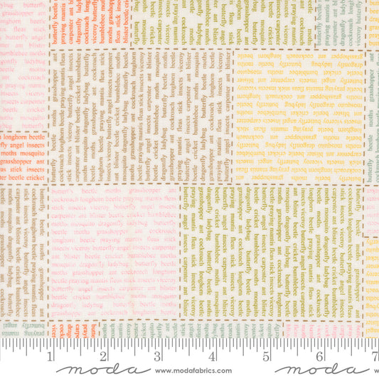 Bug Collector by Sweetwater : In the News Cloud 55730 11