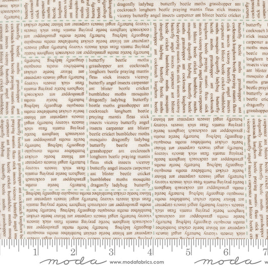 Bug Collector by Sweetwater : In the News Cloud Dirt 55730 21