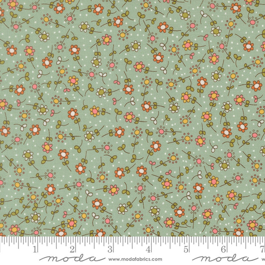 Bug Collector by Sweetwater : Meadow Sky 55733 12