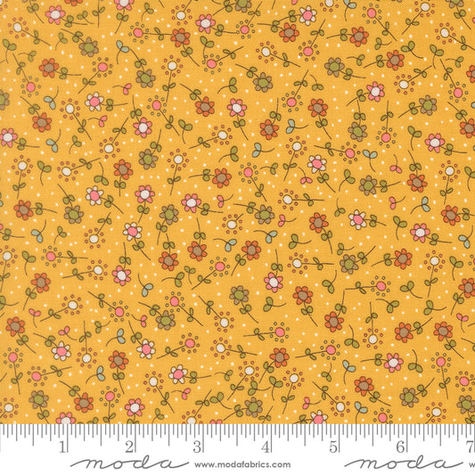 Bug Collector by Sweetwater : Meadow Sunshine 55733 15