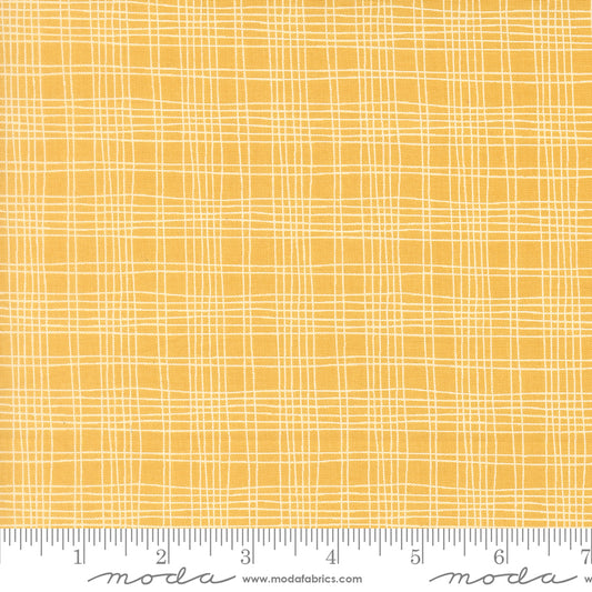 Bug Collector by Sweetwater : Plaid Sunshine 55737 15