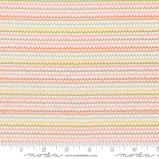Bug Collector by Sweetwater : Squiggles Cloud 55735 11
