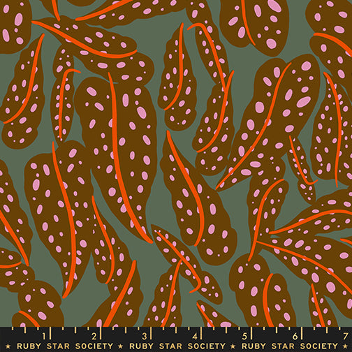 Calathea by Ruby Star Society Collaborative : Overlapping Leaves Cocoa RS5187 12