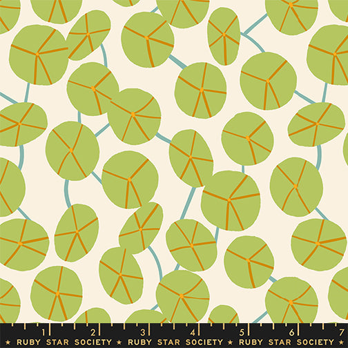 Calathea by Ruby Star Society Collaborative : Pilea Natural RS5188 11