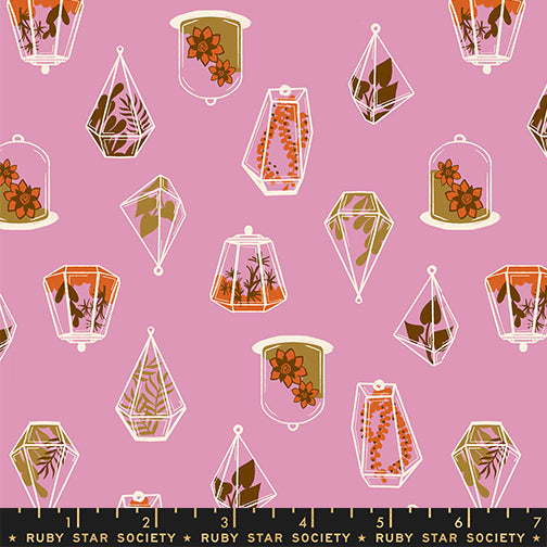 Calathea by Ruby Star Society : Terrarium Kiss RS5183 12 (Estimated Arrival November 2025)