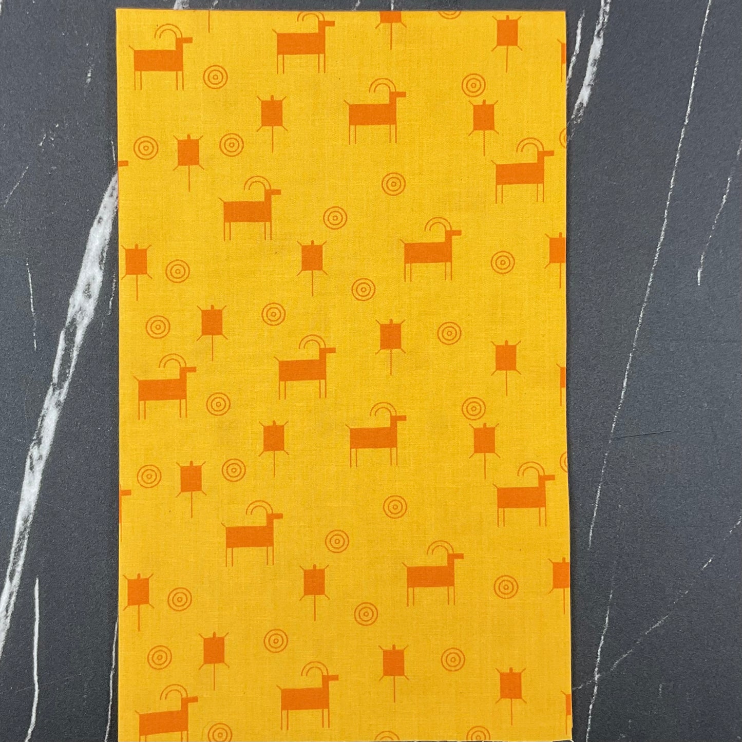 Canyon Country by Charley Harper: Canyon Glyphs CH-435