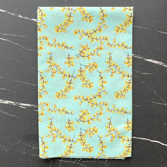 Capri by Katarina Roccella