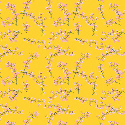 Capri by Katarina Roccella