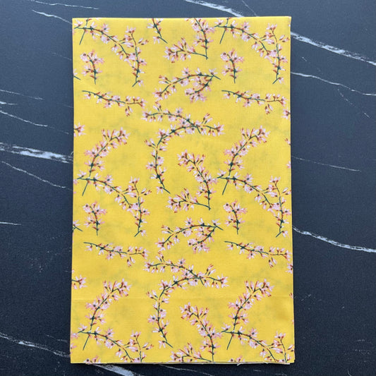 Capri by Katarina Roccella