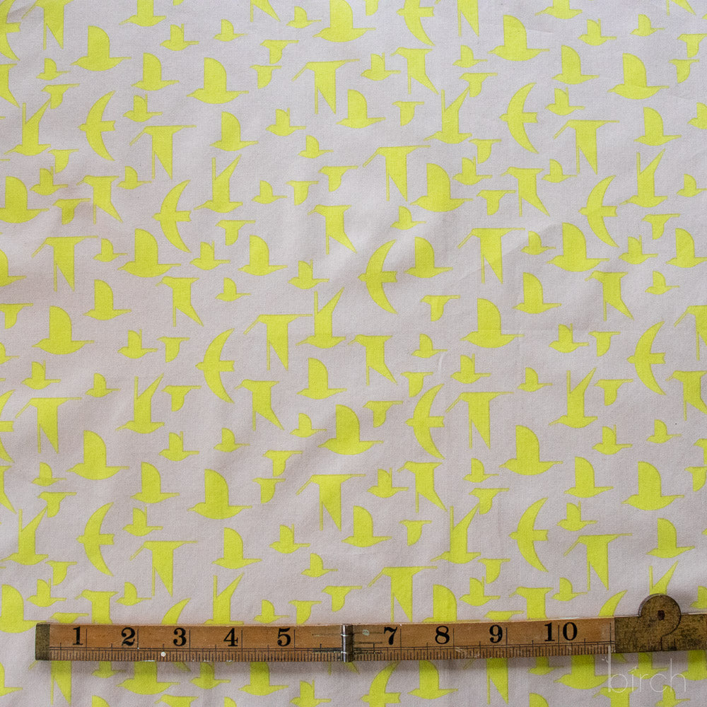 Charley Harper Coastal Vol 2 - Maritime Birds Lemoncello Poplin CH-438