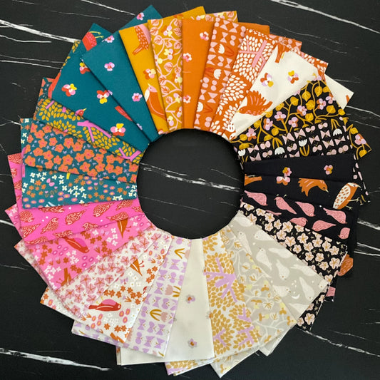 Color Box Quilt Kit featuring Bird is the Word by Kimberly Kight