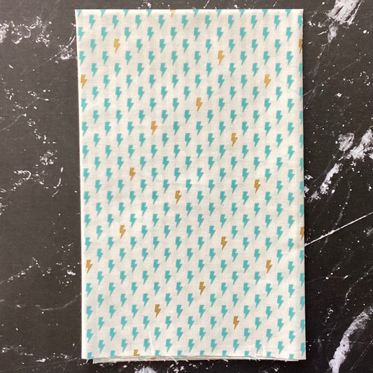 East Coast by Megan Kampa : Hot Strike Partly Cloudy Metallic MK105-PC2M