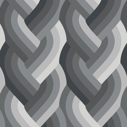 Echo by Emily Van Hoff - Echo Braid Black 42380 14