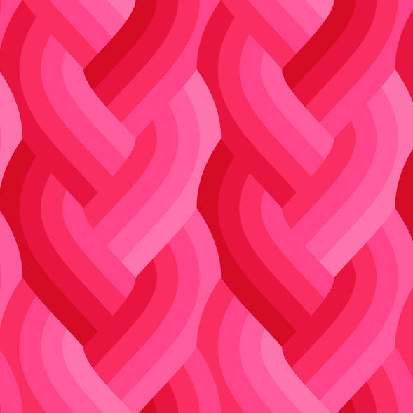 Echo by Emily Van Hoff - Echo Braid Dark Pink 42380 28