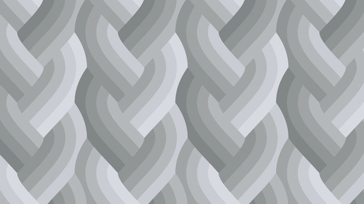 Echo by Emily Van Hoff - Echo Braid Grey 42380 13