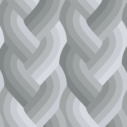 Echo by Emily Van Hoff - Echo Braid Grey 42380 13