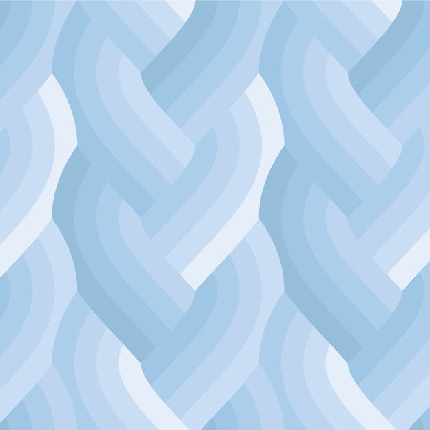 Echo by Emily Van Hoff - Echo Braid Light Blue 42380 16