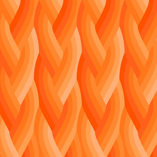Echo by Emily Van Hoff - Echo Braid Orange 42380 31