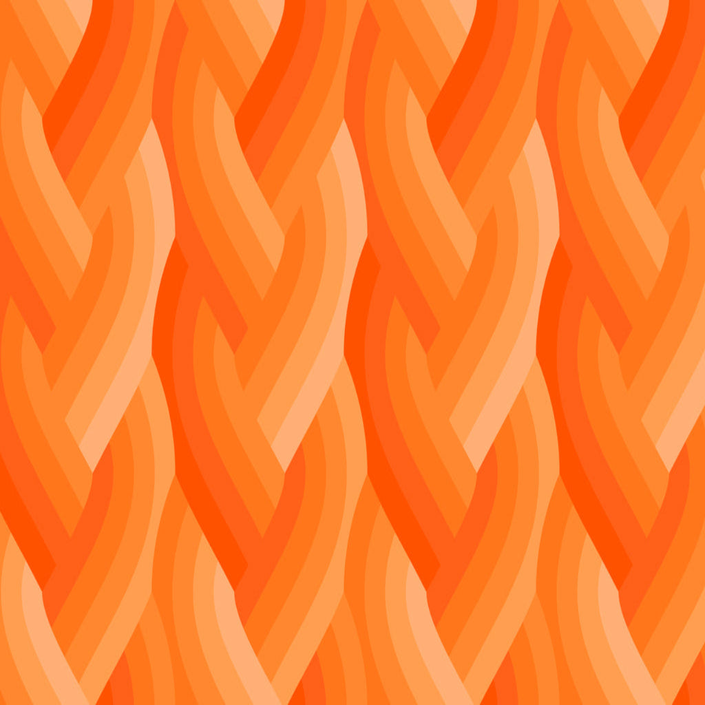 Echo by Emily Van Hoff - Echo Braid Orange 42380 31