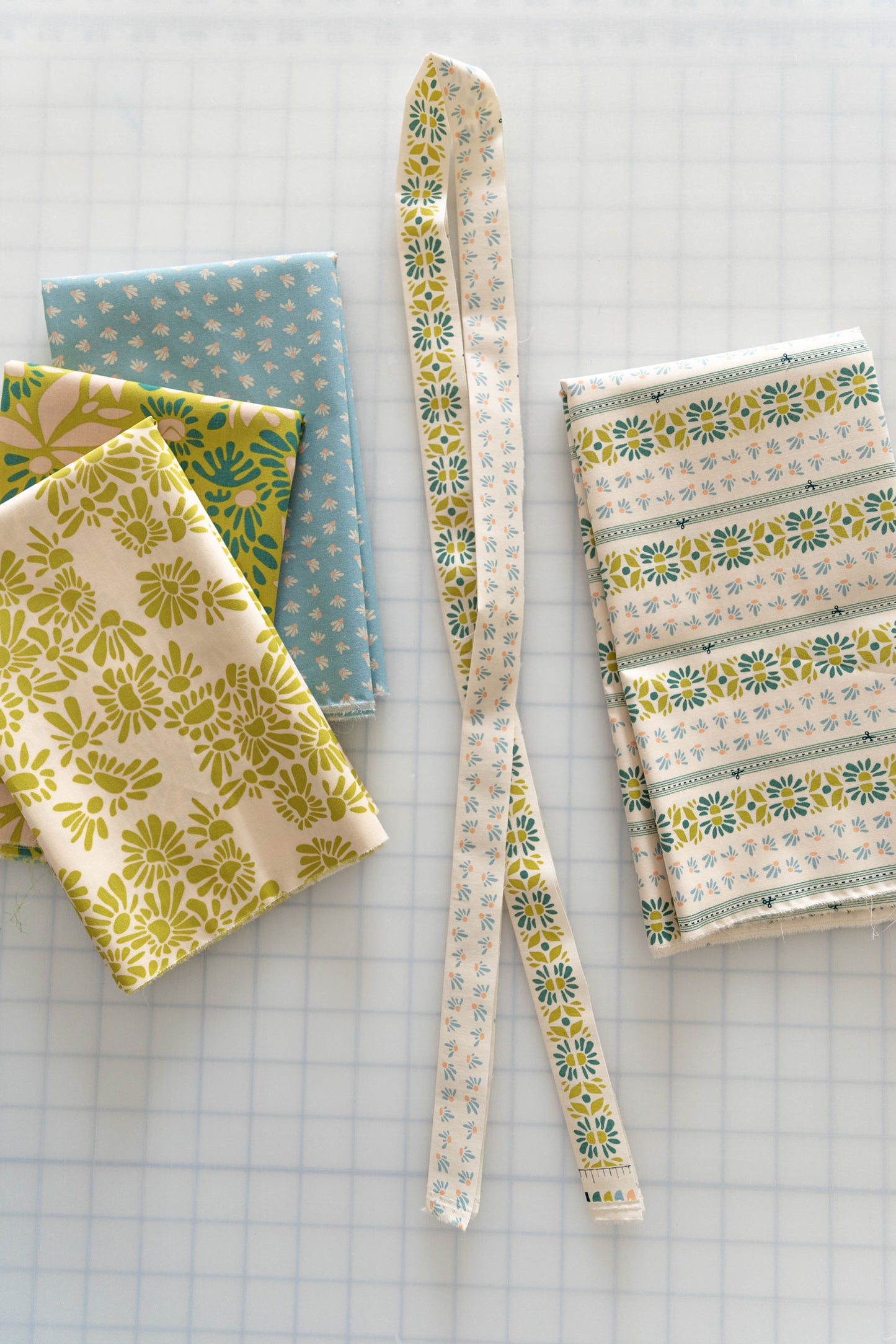 Evolve by Suzy Quilts - Bound to Evolve BINEVO60417