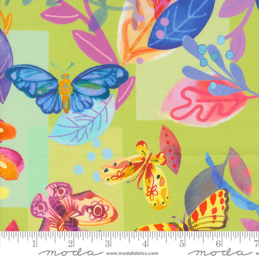 Flower Patches by Amarylis Henderson : Butterfly Meander Limeade 21820 15