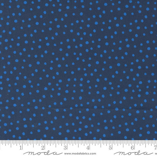 Flower Patches by Amarylis Henderson : Dotty Midnight 21829 23