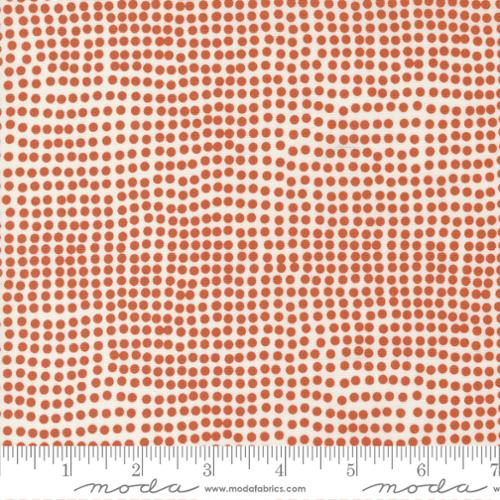 Frisky by Zen Chic : Frisky Dots Creamy Cheeky 1774 12