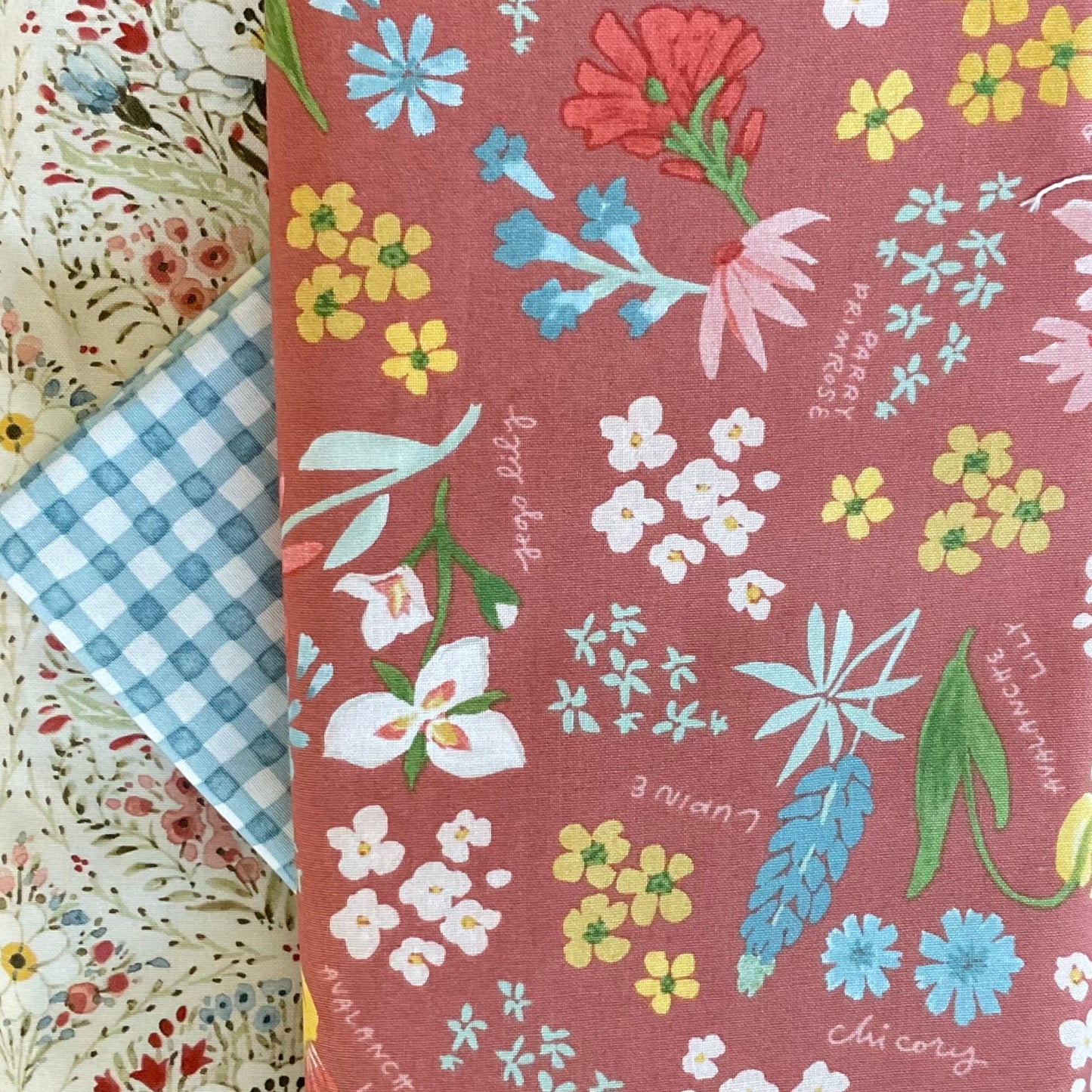 Garden Path - Whole Cloth Quilt Bundle
