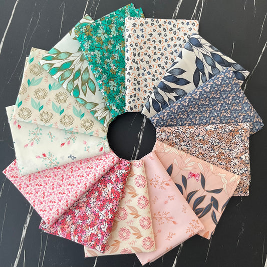 Haven by Amy Sinibaldi - Bundles