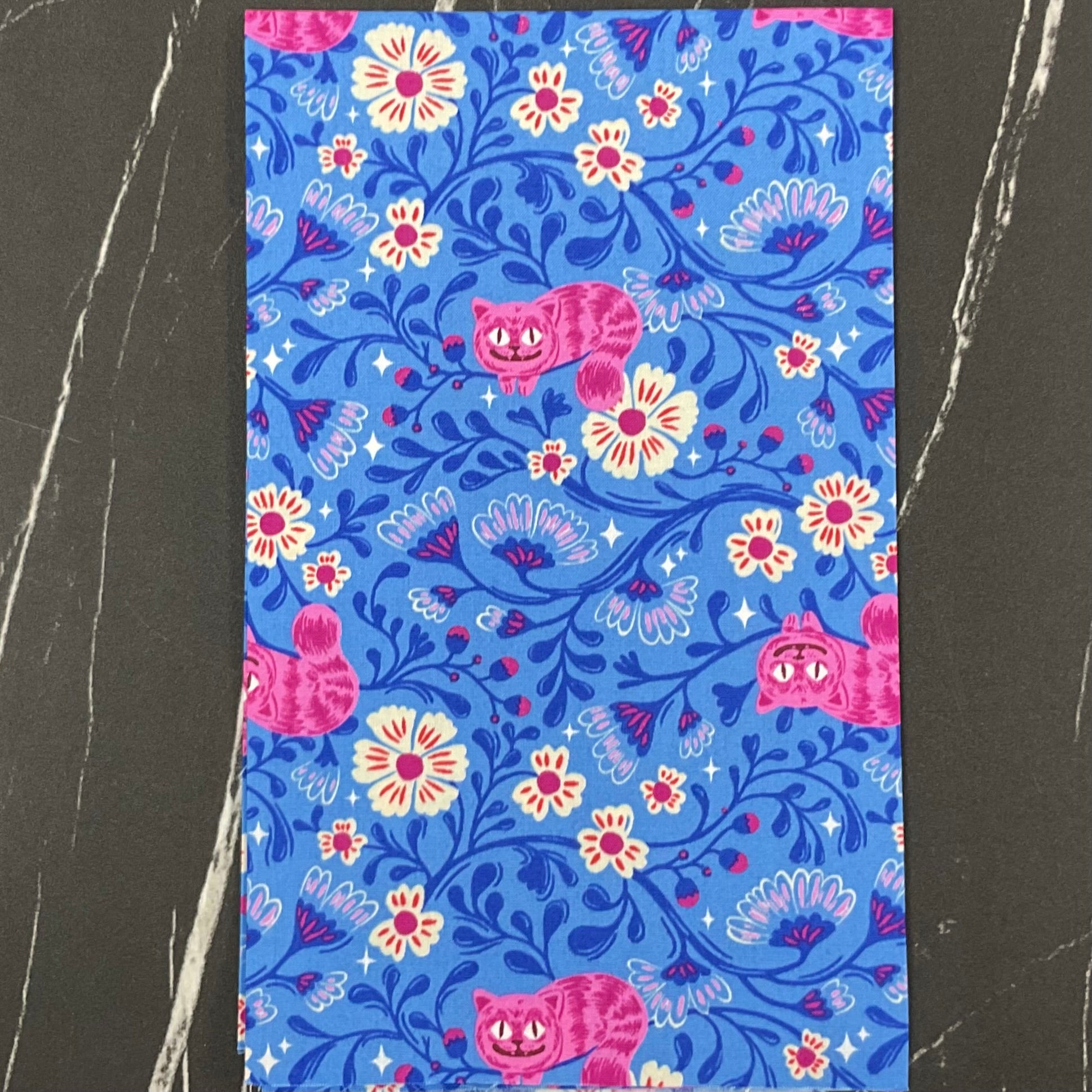 Hello Alice by Sarah Watts : Cheshire Lindley Blue RS2123 13
