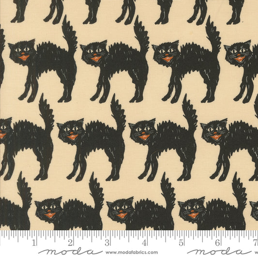 Home Sweet Haunt by Stacy Iest Hsu : Little Black Cat Bone 20915 11