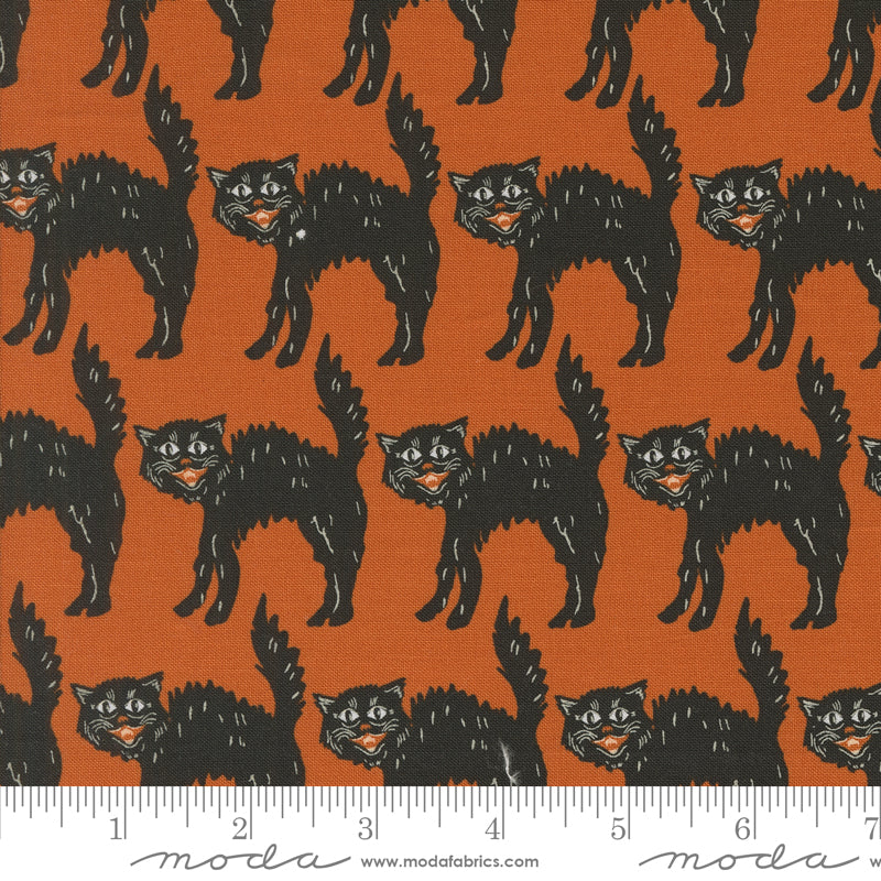 Home Sweet Haunt by Stacy Iest Hsu : Little Black Cat Rust 20915 13