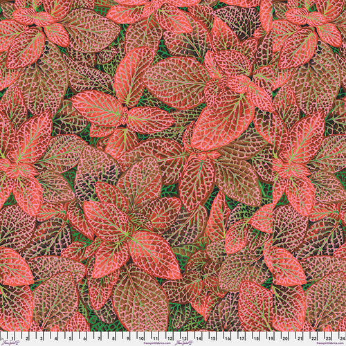 Kaffe Fassett Collective August 2024 - Fittonia Red PWPJ129.RED