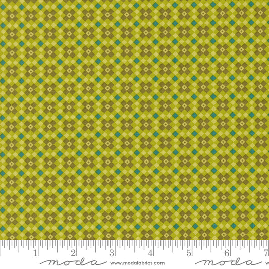 Legendary Love by Sarah Thomas of Sariditty : Fencing Grass 45055 18