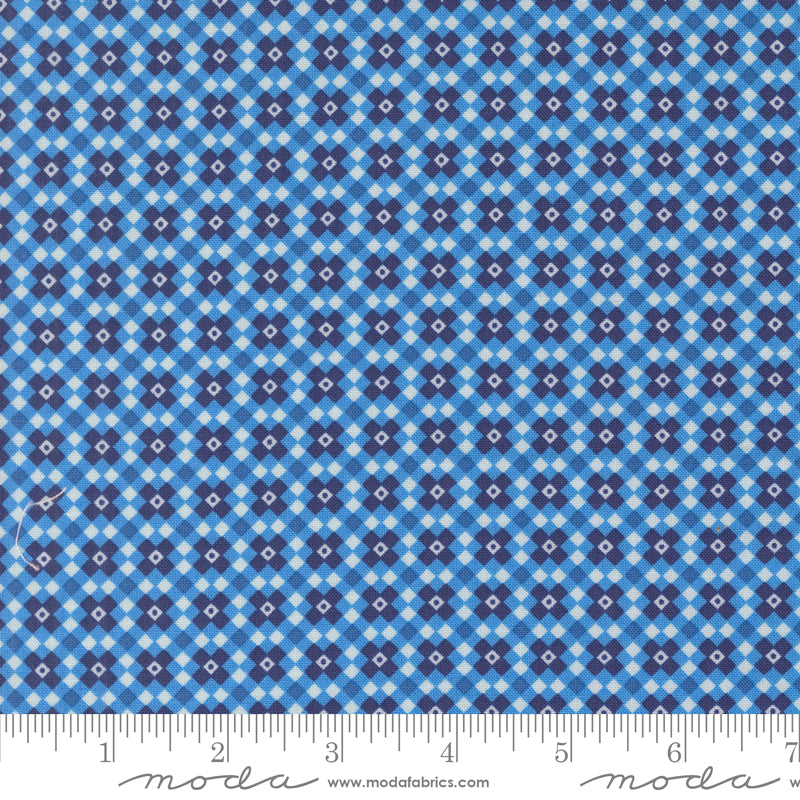 Legendary Love by Sarah Thomas of Sariditty : Fencing Navy 45055 12