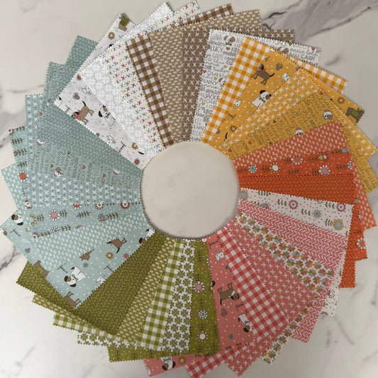 Lucky by Sweetwater : Charm Pack