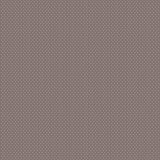 Nest by Ghazal Razavi : Stars Cocoa 92102-36