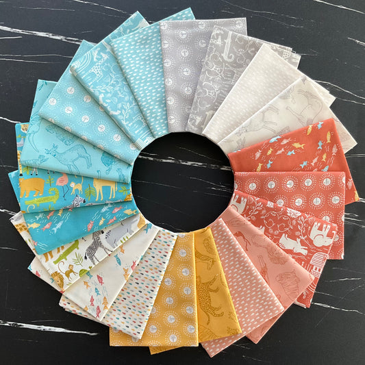 Noah's Ark by Stacy Iest Hsu : Two By Two Coral 20871 16