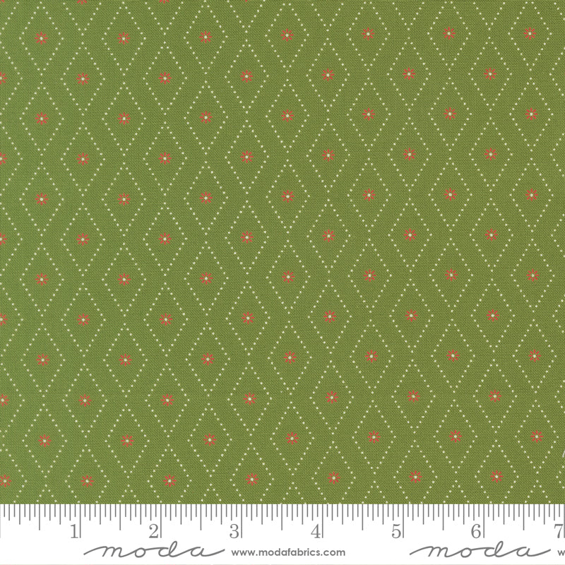 Poinsettia & Pear by Sherri & Chelsi : Argyle Evergreen 37716 14