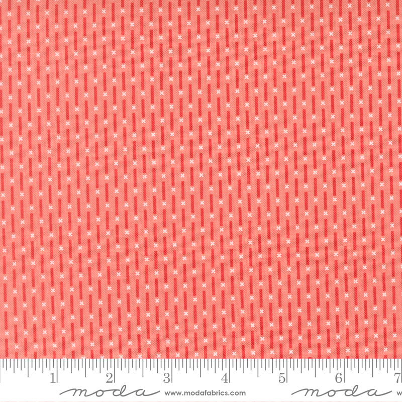 Poinsettia & Pear by Sherri & Chelsi : Candy Stripe Carnation 37715 15