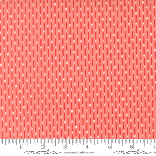 Poinsettia & Pear by Sherri & Chelsi : Candy Stripe Carnation 37715 15