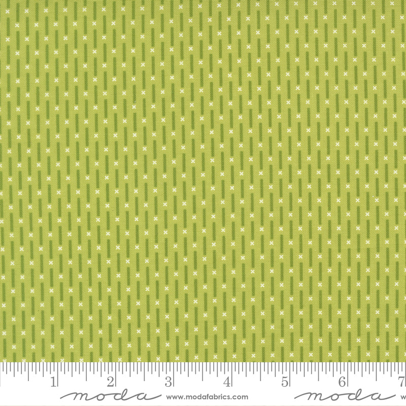 Poinsettia & Pear by Sherri & Chelsi : Candy Stripe Pistachio 37715 12