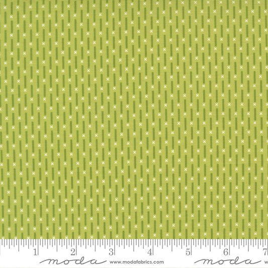 Poinsettia & Pear by Sherri & Chelsi : Candy Stripe Pistachio 37715 12