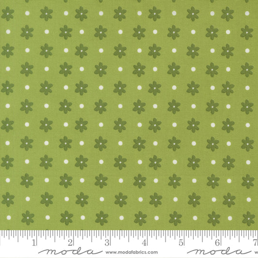 Poinsettia & Pear by Sherri & Chelsi : Daisy Dot Fresh Grass 37713 13